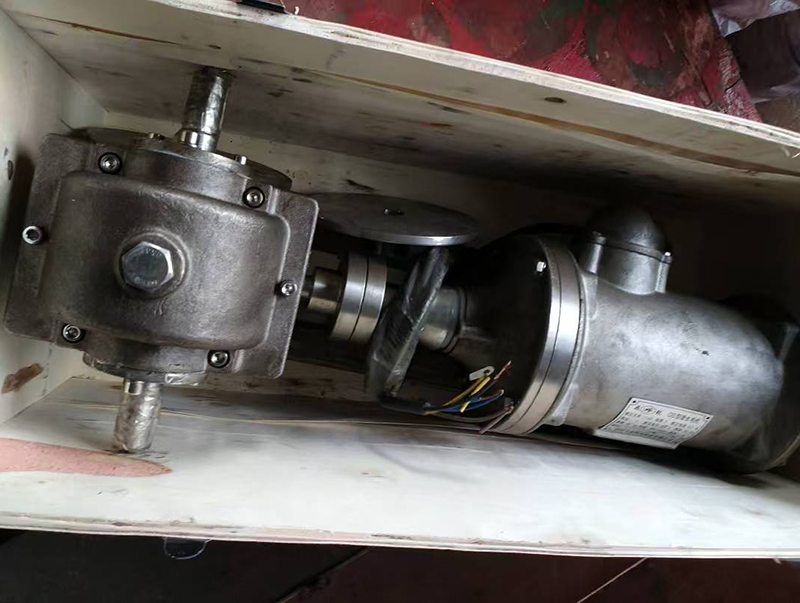 水下?lián)u擺電機